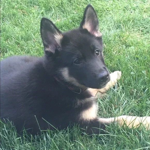 Offers‎ Welcome - Picture 10 of 10